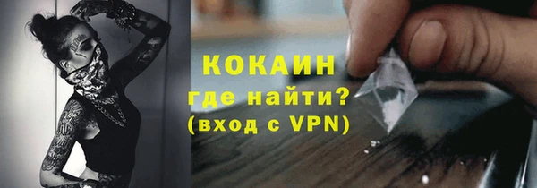 дмт Осташков