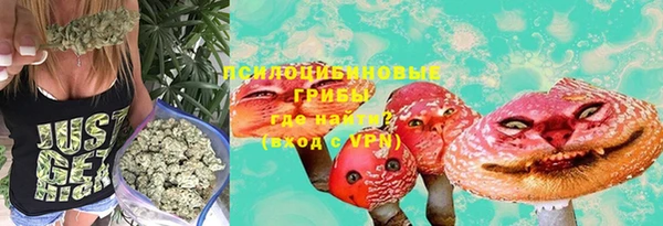 гидра Остров