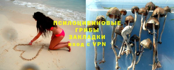 тгк Осинники