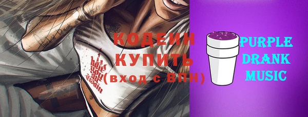 дмт Осташков