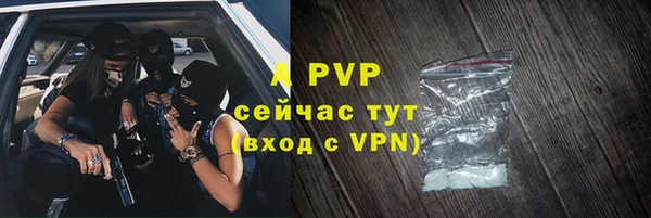 дмт Осташков