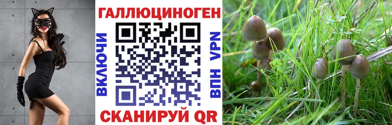 Галлюциногенные грибы MAGIC MUSHROOMS  где купить наркотик  Петровск-Забайкальский 